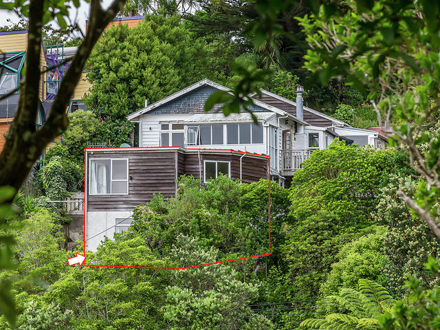 13A Koromiko Road Aro Valley