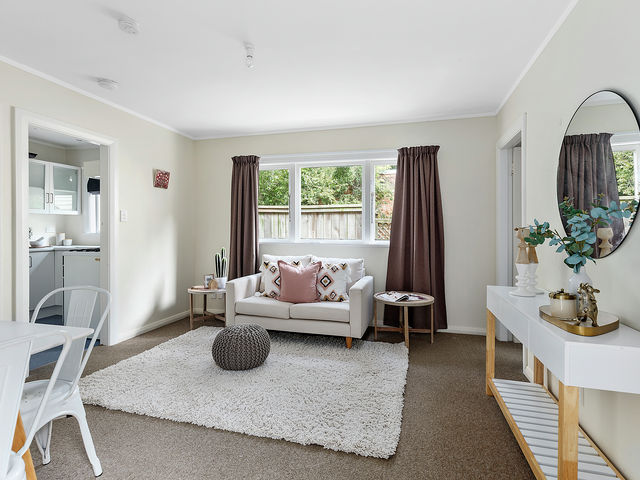 115 Aro Street Aro Valley