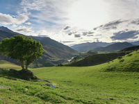 photo property thumbnail