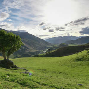 84 Cormier Pike Apt. 054 - Balgowlah heights