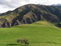 photo property thumbnail