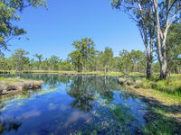 photo property thumbnail