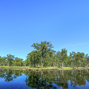 84 Cormier Pike Apt. 054 - Balgowlah heights