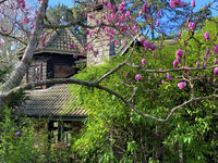 photo property thumbnail