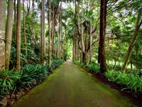 photo property thumbnail