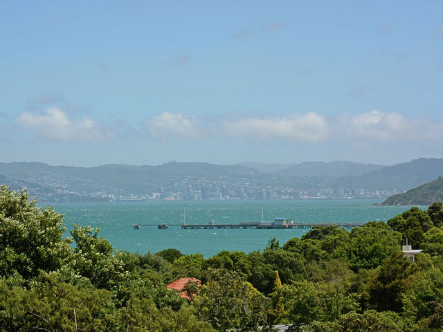 1 Whiorau Grove Eastbourne