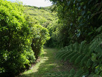 photo property thumbnail