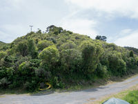 photo property thumbnail