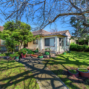 84 Cormier Pike Apt. 054 - Balgowlah heights