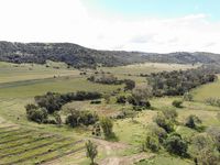 photo property thumbnail