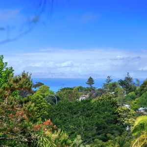 84 Cormier Pike Apt. 054 - Balgowlah heights