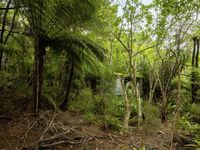 photo property thumbnail