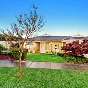 84 Cormier Pike Apt. 054 - Balgowlah heights