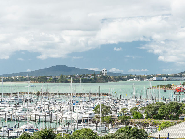 8 Amiria Street Saint Marys Bay