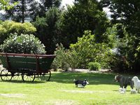 photo property thumbnail