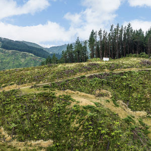 84 Cormier Pike Apt. 054 - Balgowlah heights