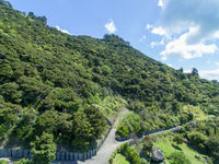 photo property thumbnail