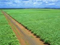 photo property thumbnail