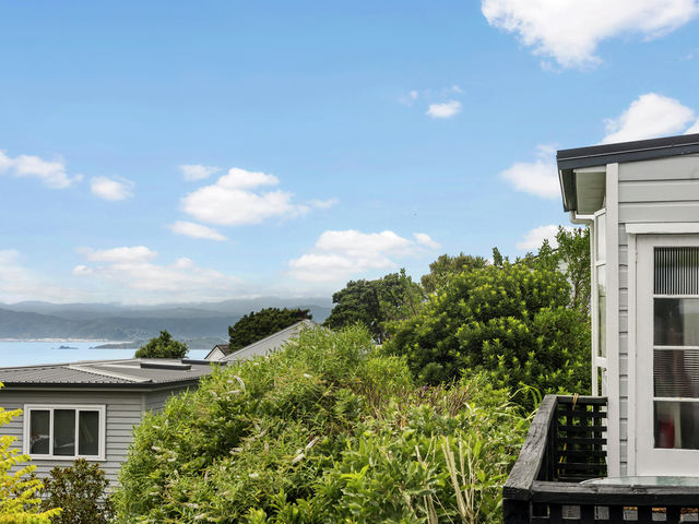94 Pitt Street Wadestown