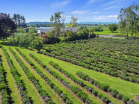 photo property thumbnail
