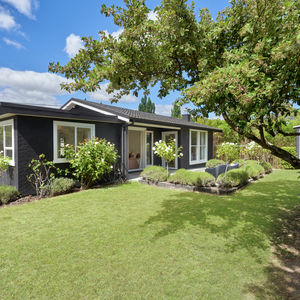 84 Cormier Pike Apt. 054 - Balgowlah heights