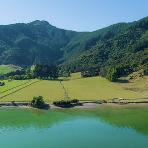 84 Cormier Pike Apt. 054 - Balgowlah heights