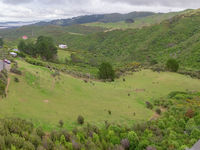 photo property thumbnail