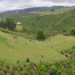 84 Cormier Pike Apt. 054 - Balgowlah heights