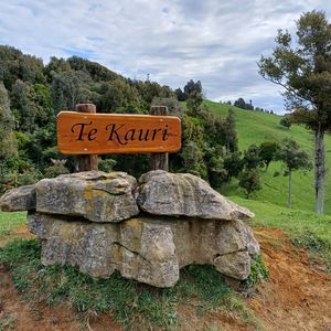 84 Cormier Pike Apt. 054 - Balgowlah heights