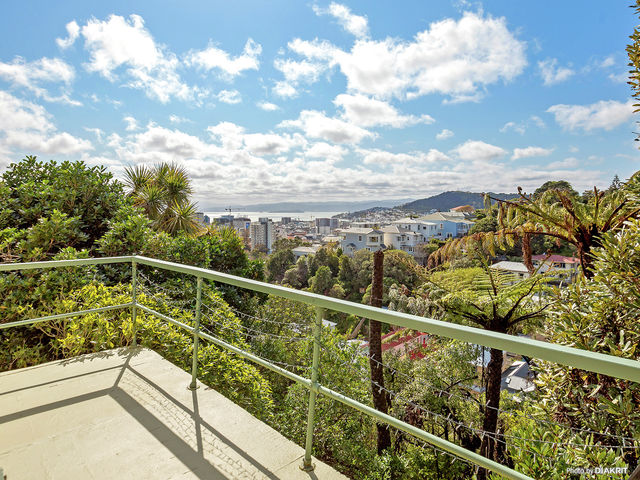 10 Mortimer Terrace Aro Valley