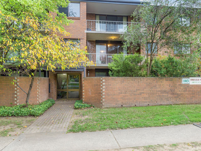 14/103 Canberra Avenue Griffith