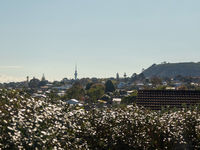 photo property thumbnail