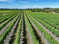 photo property thumbnail