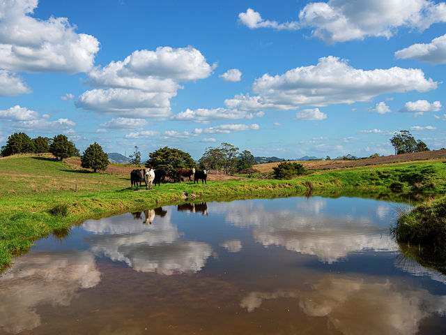 278 Pigs Head Road Hikurangi