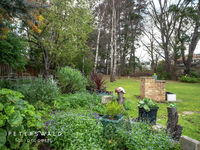 photo property thumbnail