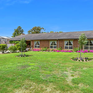 84 Cormier Pike Apt. 054 - Balgowlah heights