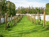 photo property thumbnail