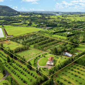 84 Cormier Pike Apt. 054 - Balgowlah heights