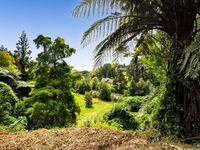 photo property thumbnail