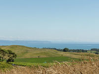 photo property thumbnail