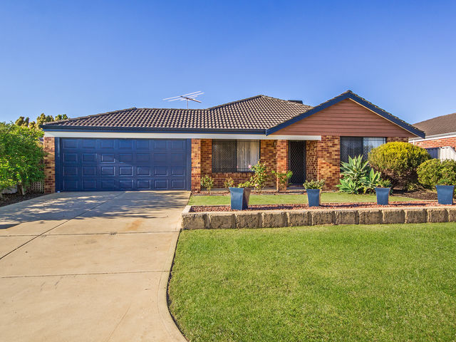 16 Menora Loop WARNBRO