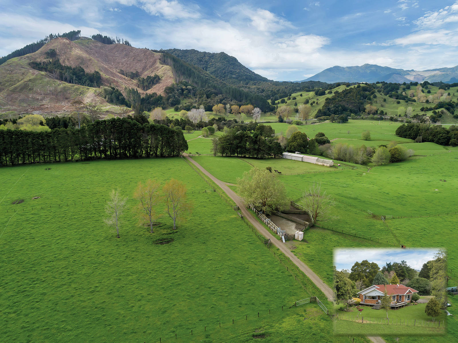471 Moore Road, Pipiwai 4 Bed Rural Auction Sold