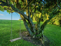 photo property thumbnail