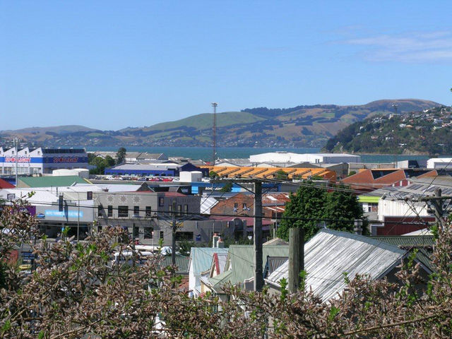 41A Lees Street Dunedin