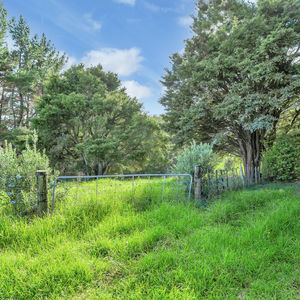 84 Cormier Pike Apt. 054 - Balgowlah heights