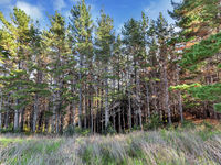 photo property thumbnail