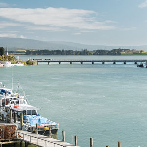 84 Cormier Pike Apt. 054 - Balgowlah heights