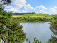 photo property thumbnail