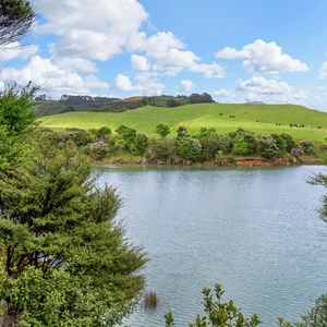 84 Cormier Pike Apt. 054 - Balgowlah heights