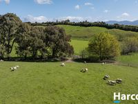 photo property thumbnail